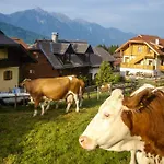 Apartment Schoenauerhof