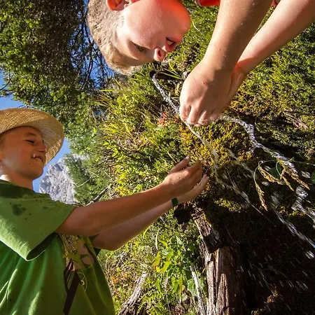 Schoenauerhof 아파트 *