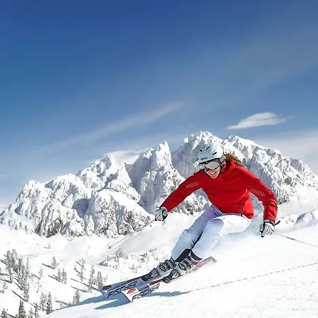 Daire Schoenauerhof *