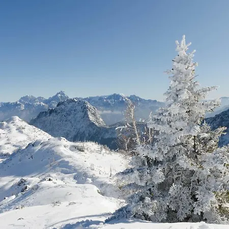 Daire Schoenauerhof Schlanitzen