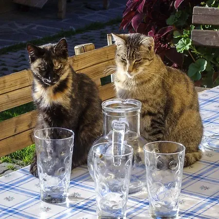 Appartement Schoenauerhof