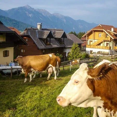 아파트 Schoenauerhof