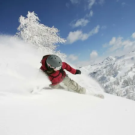 Schoenauerhof 스칼라니첸