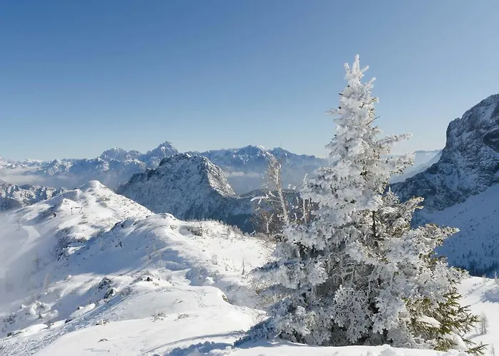 Apartment Schoenauerhof Schlanitzen