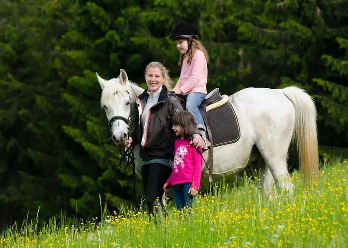 Schoenauerhof Apartment *